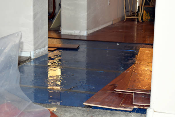 Professional Water Damage Restoration technician working in Big Rock, IL